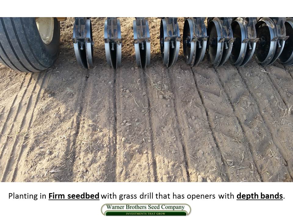 Grass Drill w/ Firm Seedbed
